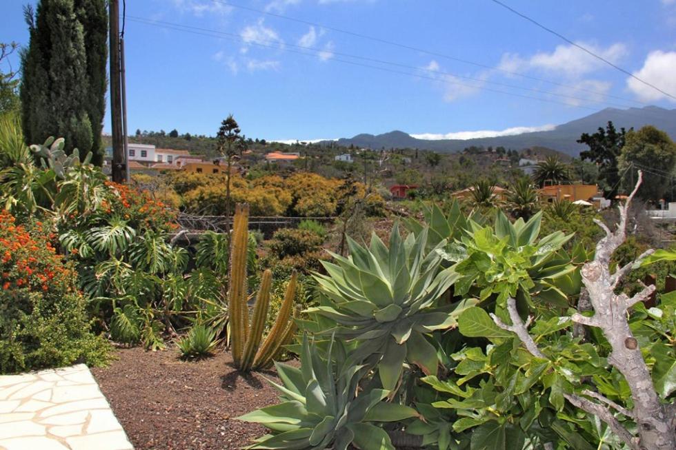 Jardin de Aridane Hotel El Paso Exterior foto